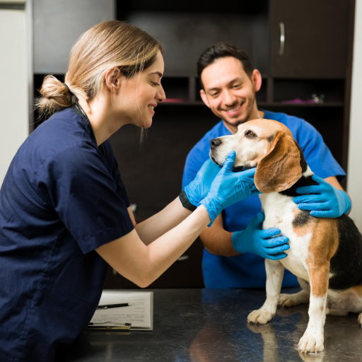 Veterinária e Pet Shop