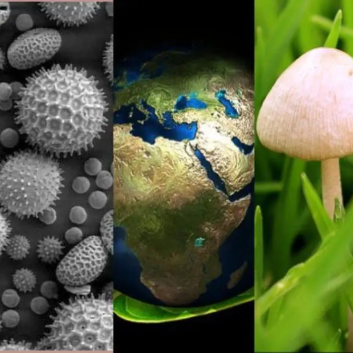 Biologia